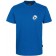 color:royal